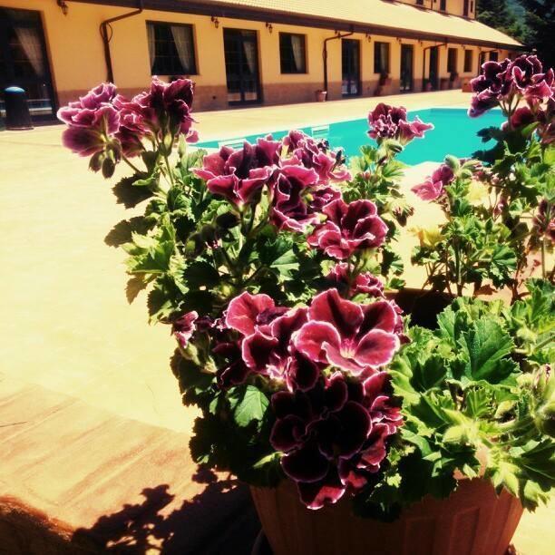 Del Riccio Hotel Martirano Luaran gambar